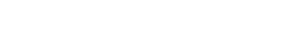 Air Fryer Biz Logo Transparent White